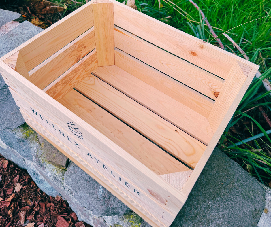 Wellnez-atelier-wellnezbox2.png