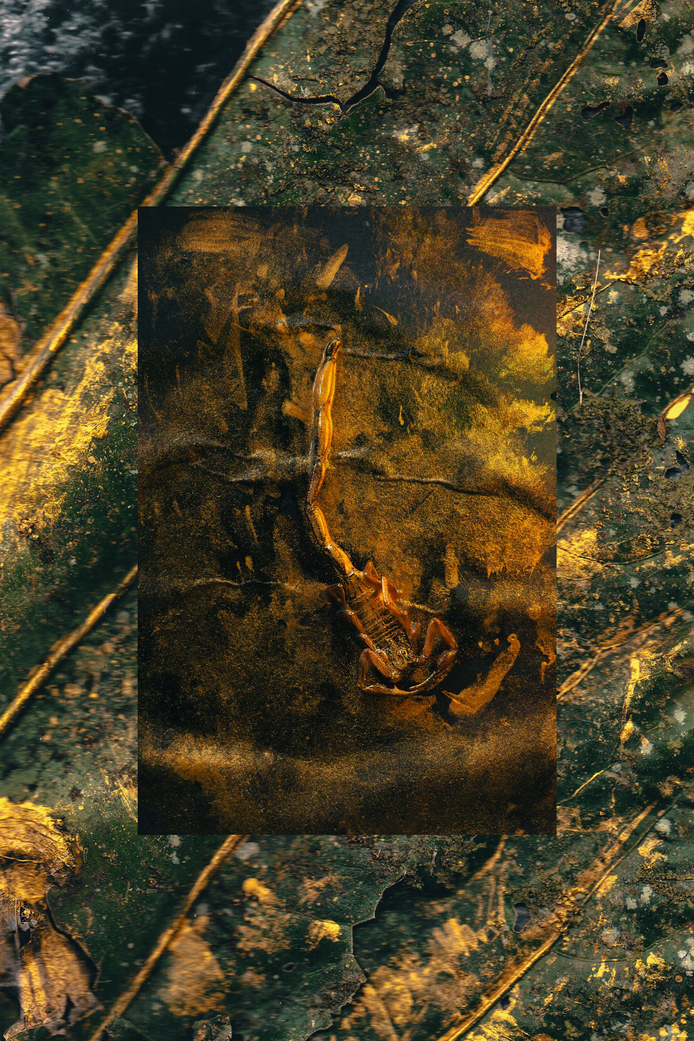 Scan47.jpg