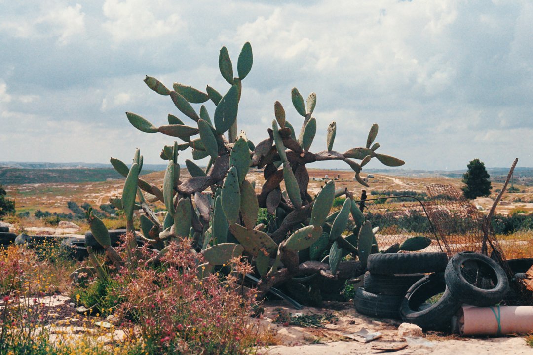 AA009.jpg