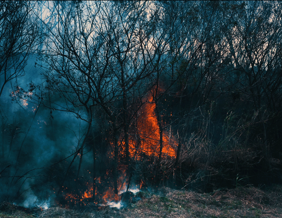 fuego.gif