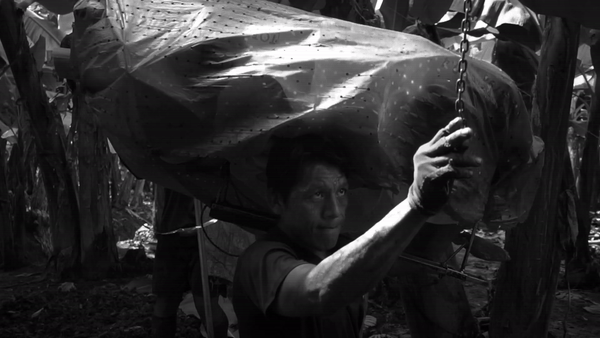 They gave us a kind of hook to hang the fruit, but it was just a stick that served that purpose. 

By the end of the day, you'd see how my colleagues were left with bruised, burnt, singed, and injured shoulders because of it.