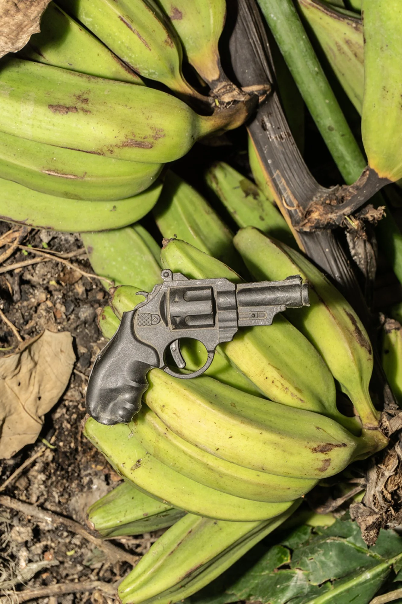 A plastic toy gun lies on freshly harvested bananas, placed there by a little boy of 8 years old who often plays with it while working in the fields. Workers in Limón’s banana plantations have been increasingly targeted in organized crime-related vio