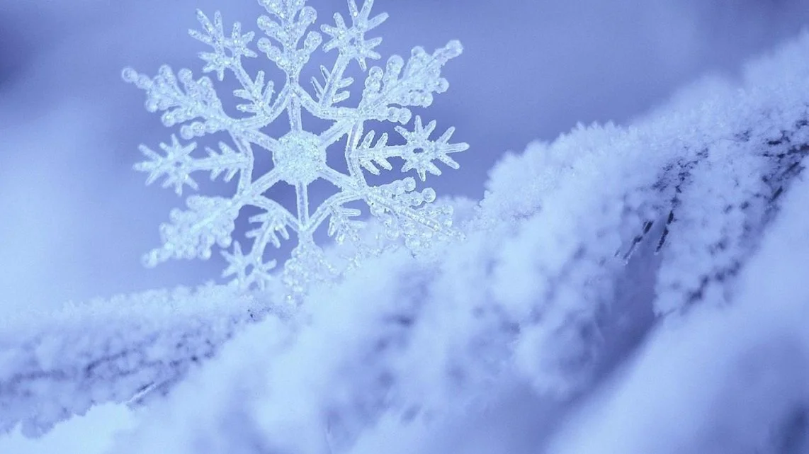 NEIGE.jpg