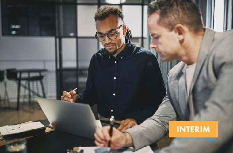 Interim L&D Consultant, Professional Services (PE Owned)