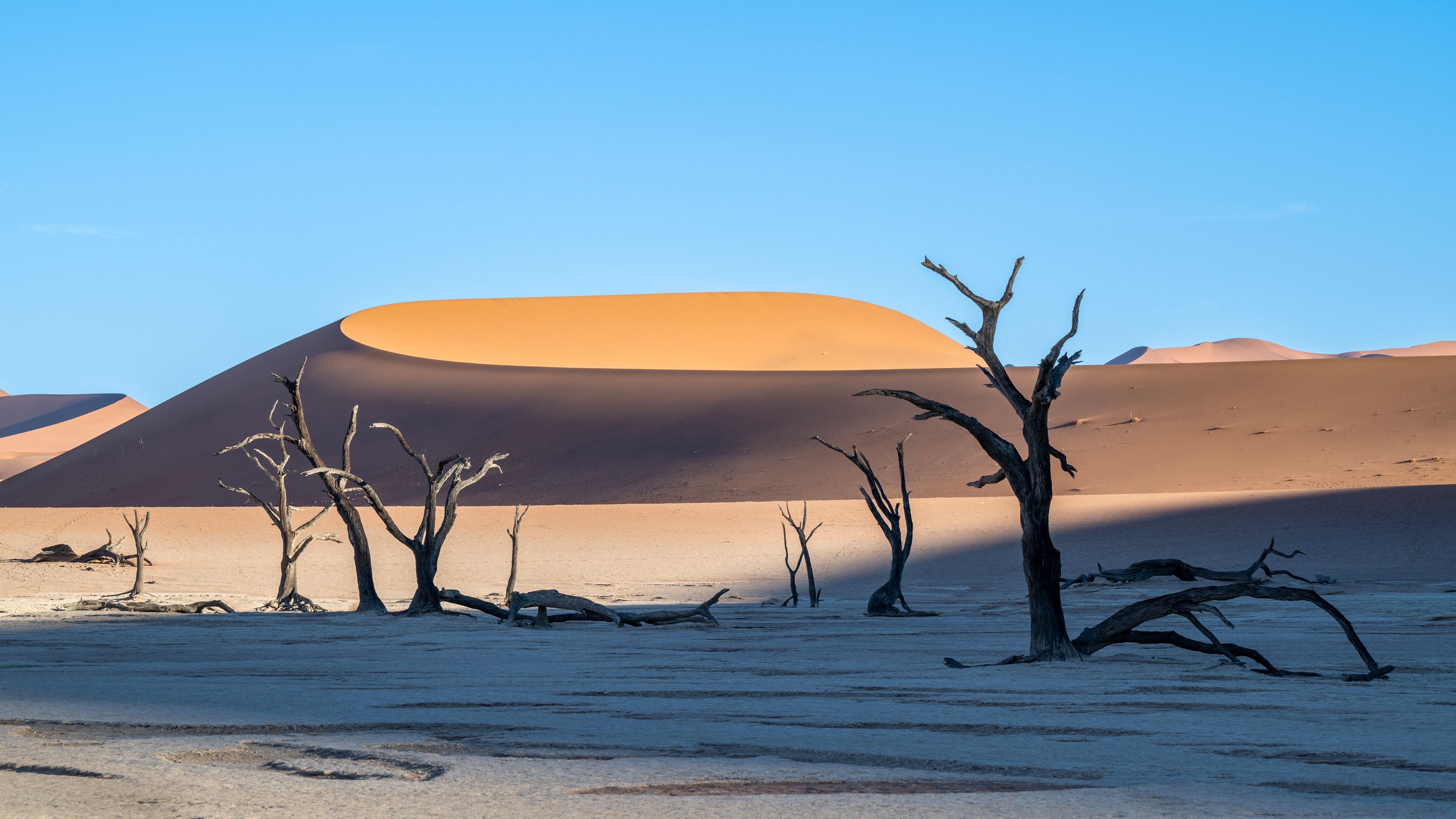 Deadvlei