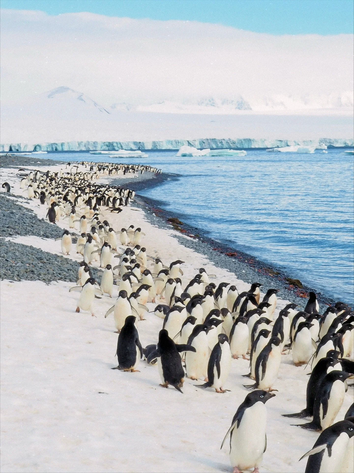 The best journeys aren&rsquo;t rushed&mdash;they&rsquo;re designed. That&rsquo;s why now is the perfect time to start thinking about 2026 and beyond.
Antarctic cruises, African safaris, Japan&rsquo;s cherry blossoms, overwater bungalows in Bora Bora&