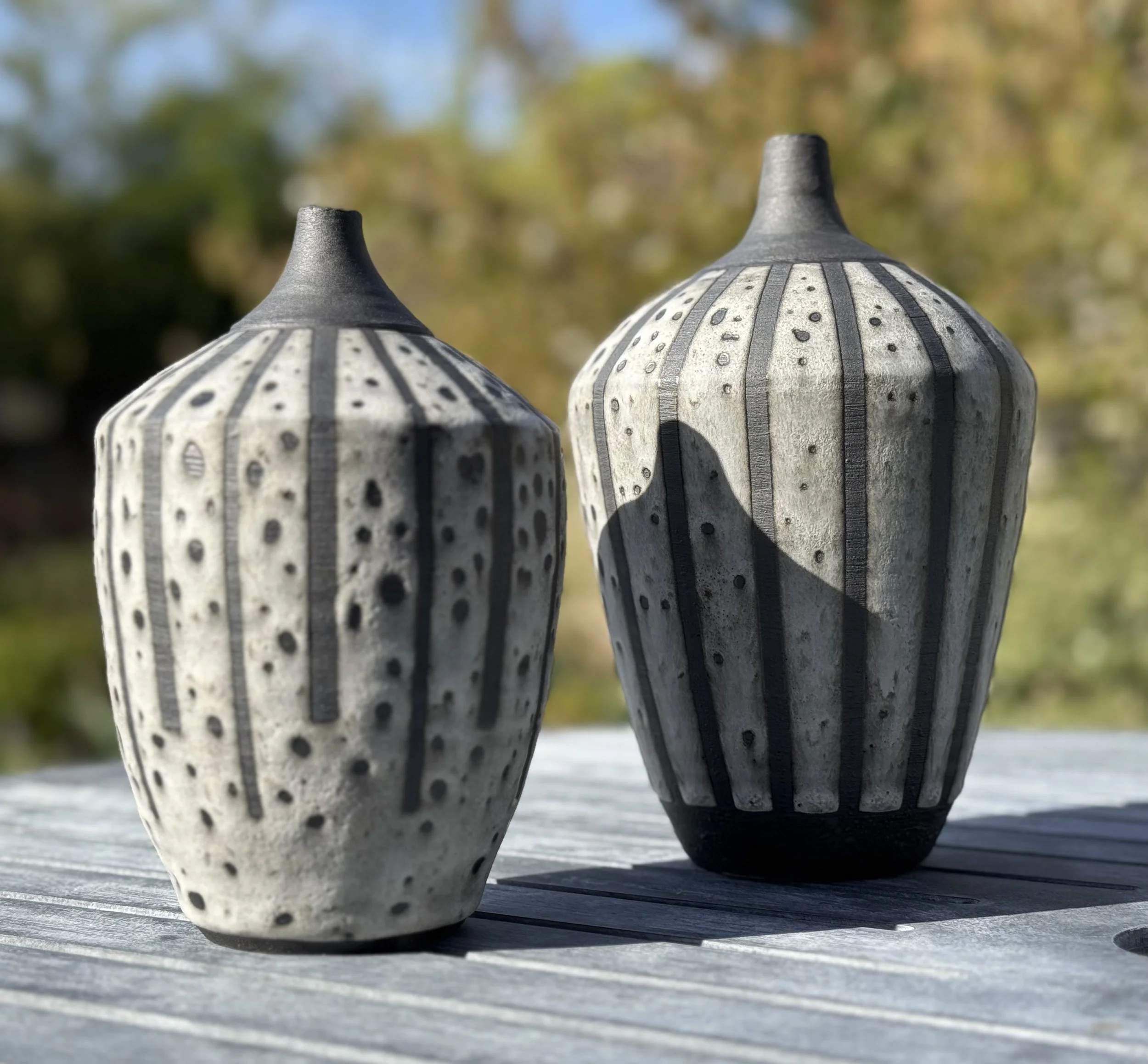 Clare Hughes_Seedpod_Twins.jpeg