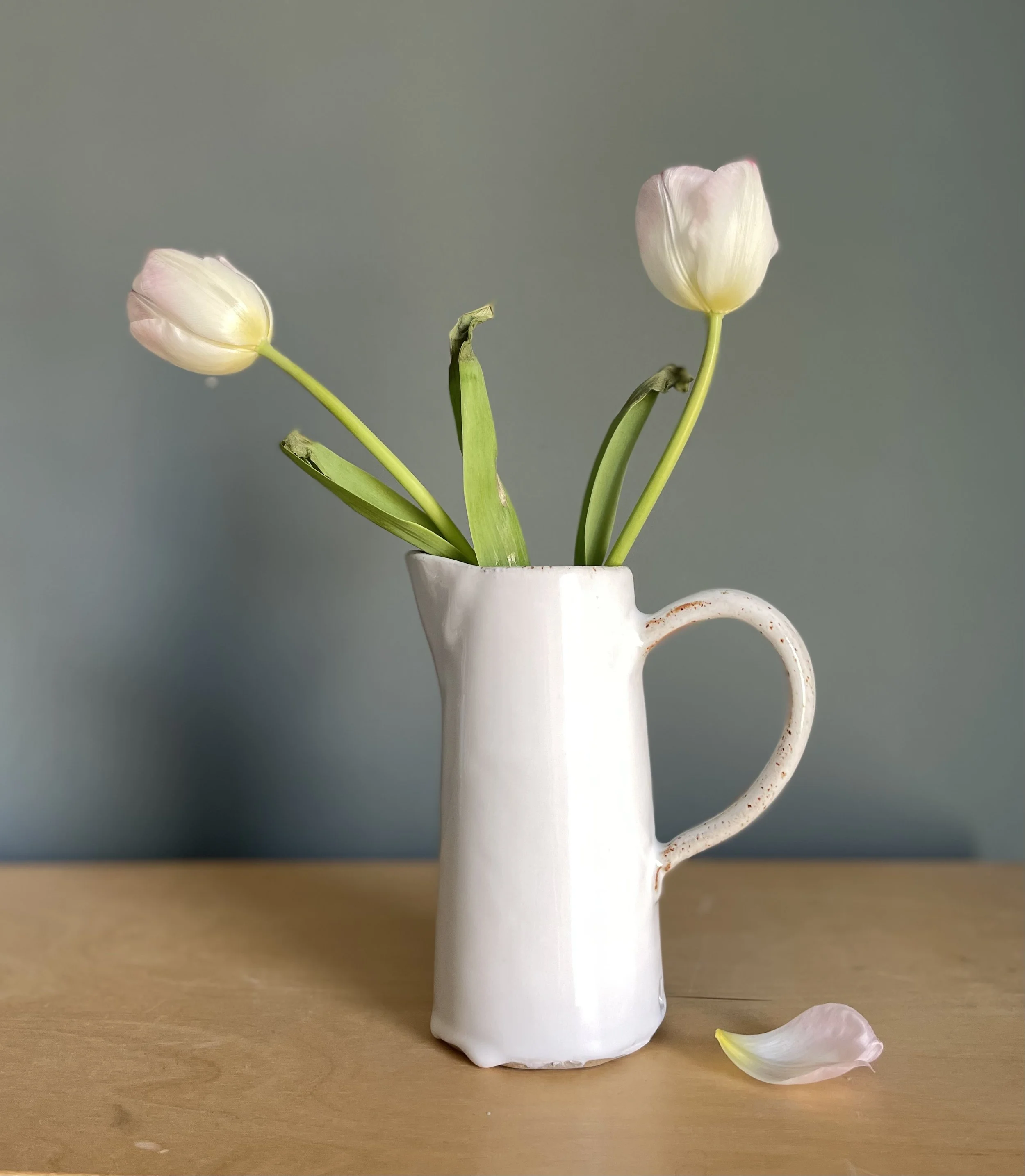 Glossy jug.jpeg