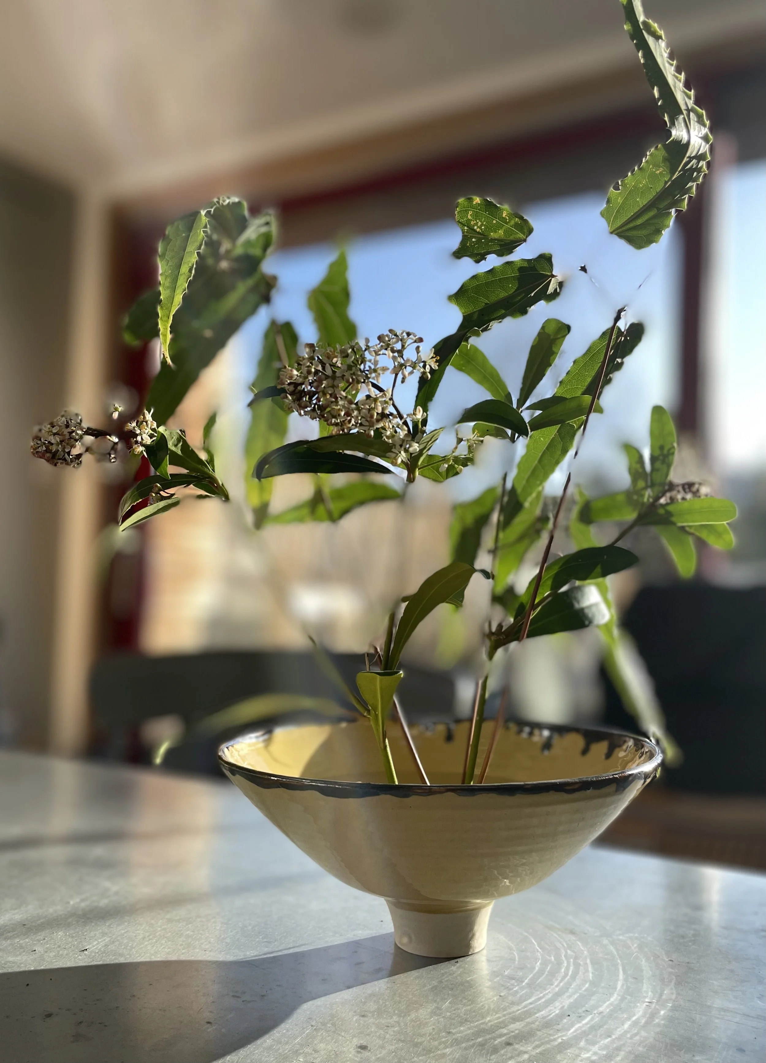 Clare Hughes_Ochre Footed Bowl w:Ikebana.jpeg