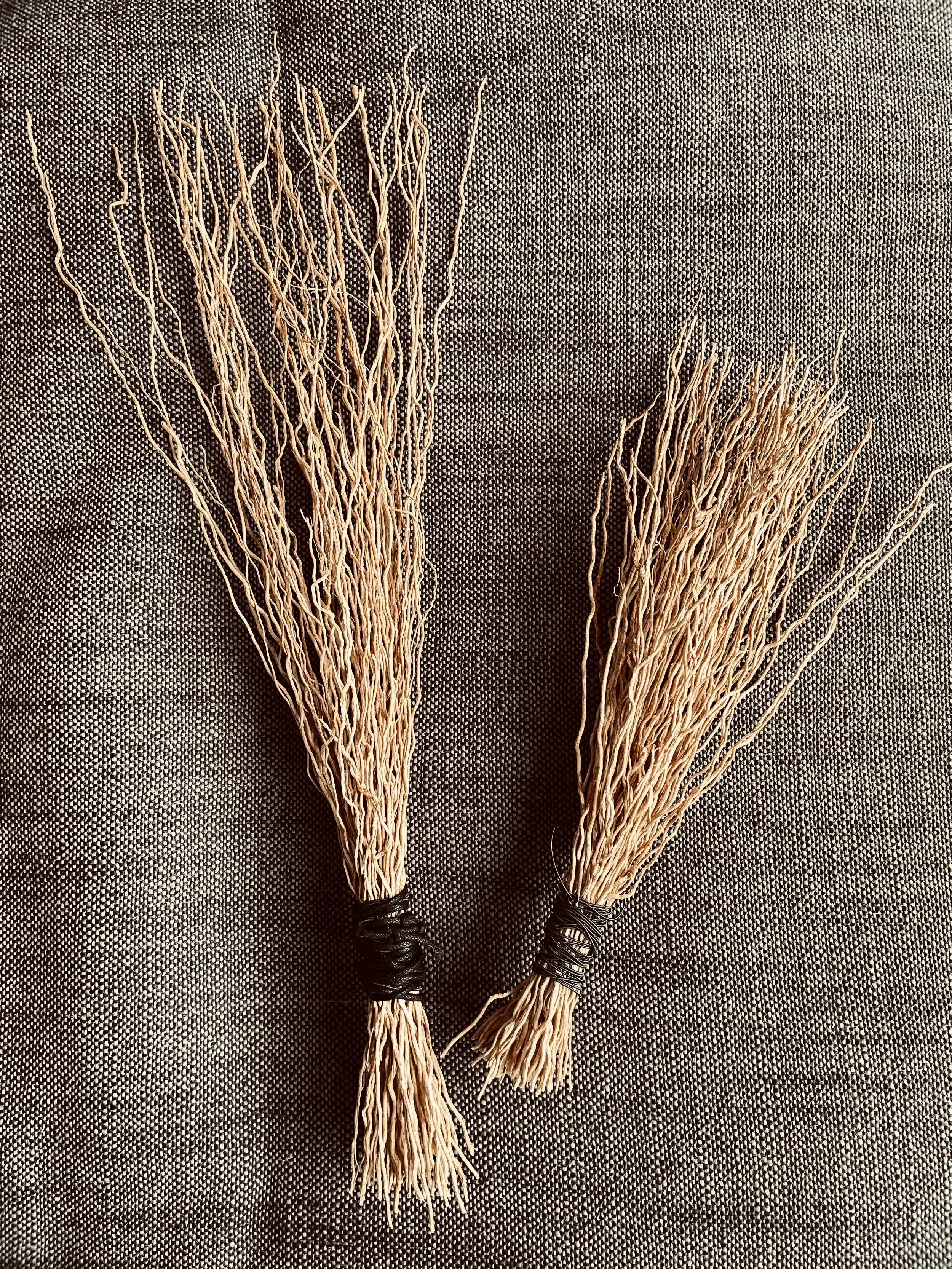 Hakeme brushes.jpeg