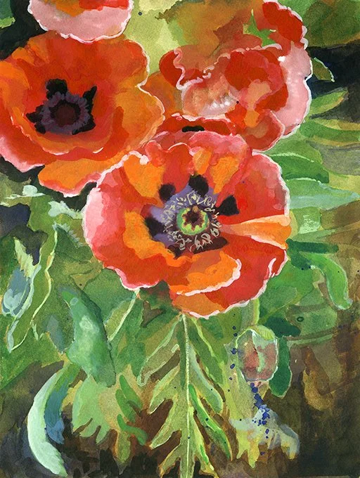 poppies