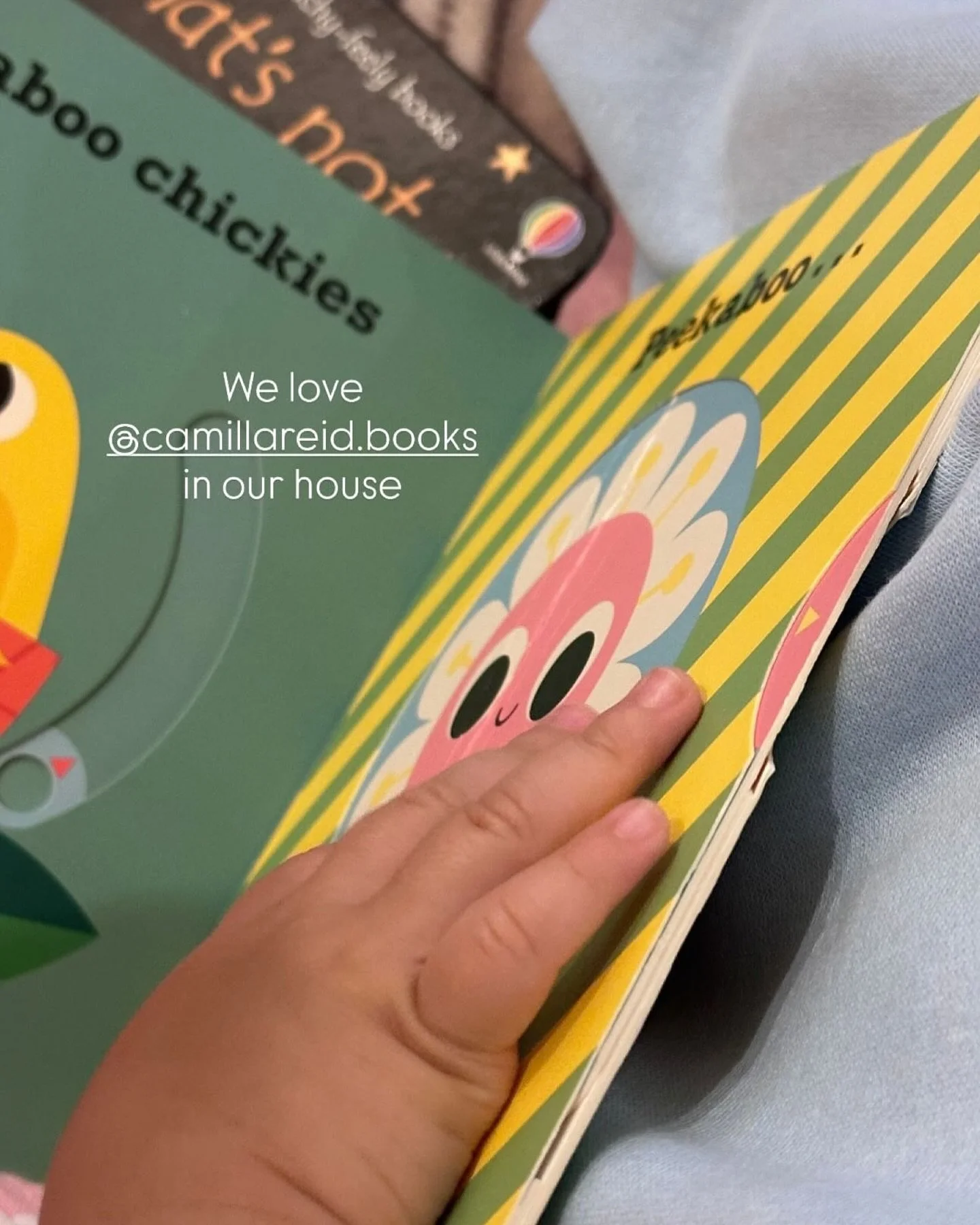 A sunny Monday thank you to @bookish.linda for this! ❤️ #readwithyourbaby