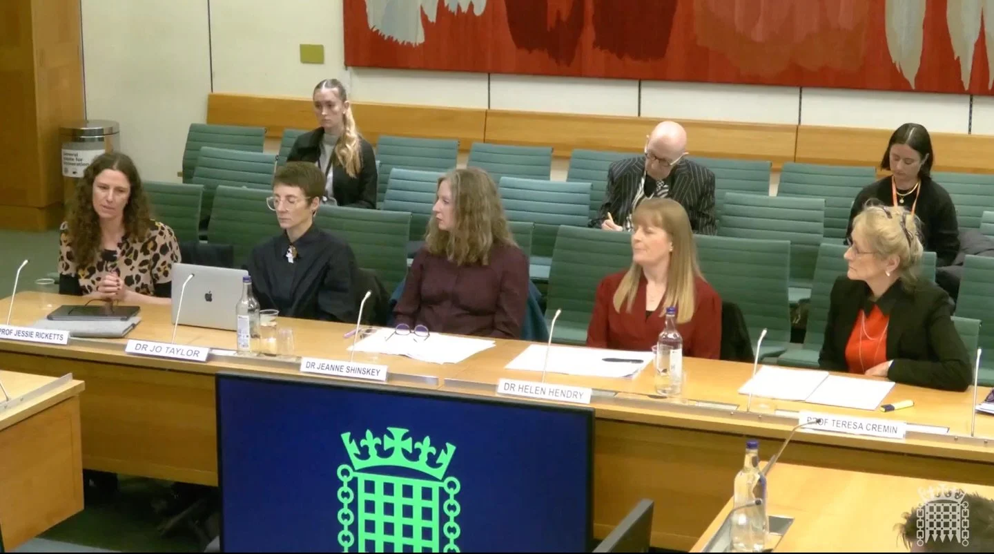 If you&rsquo;re a teacher, an early years practitioner, or even a parent, please do consider watching this recent parliamentary select committee on Reading for Pleasure, with evidence from five academic witnesses from the fields of education, literac