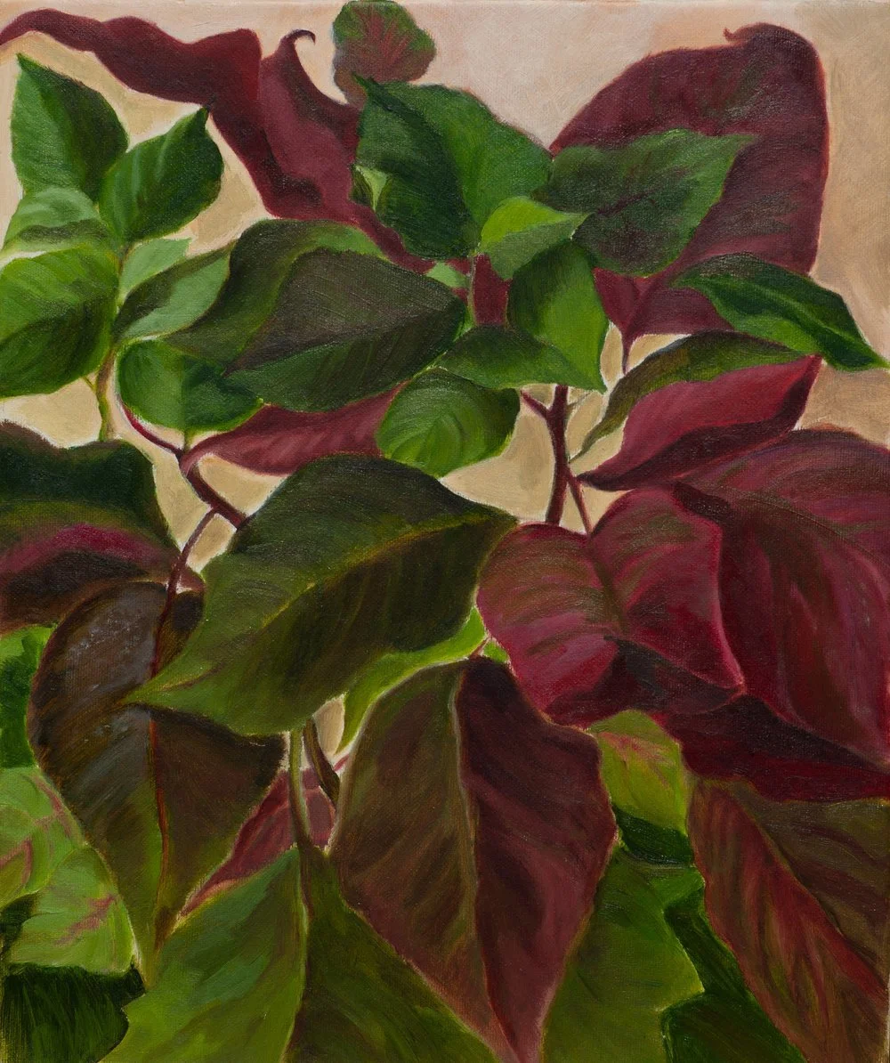 Christmas Star  
Oil on cardboard canvas, 24 x 30cm
