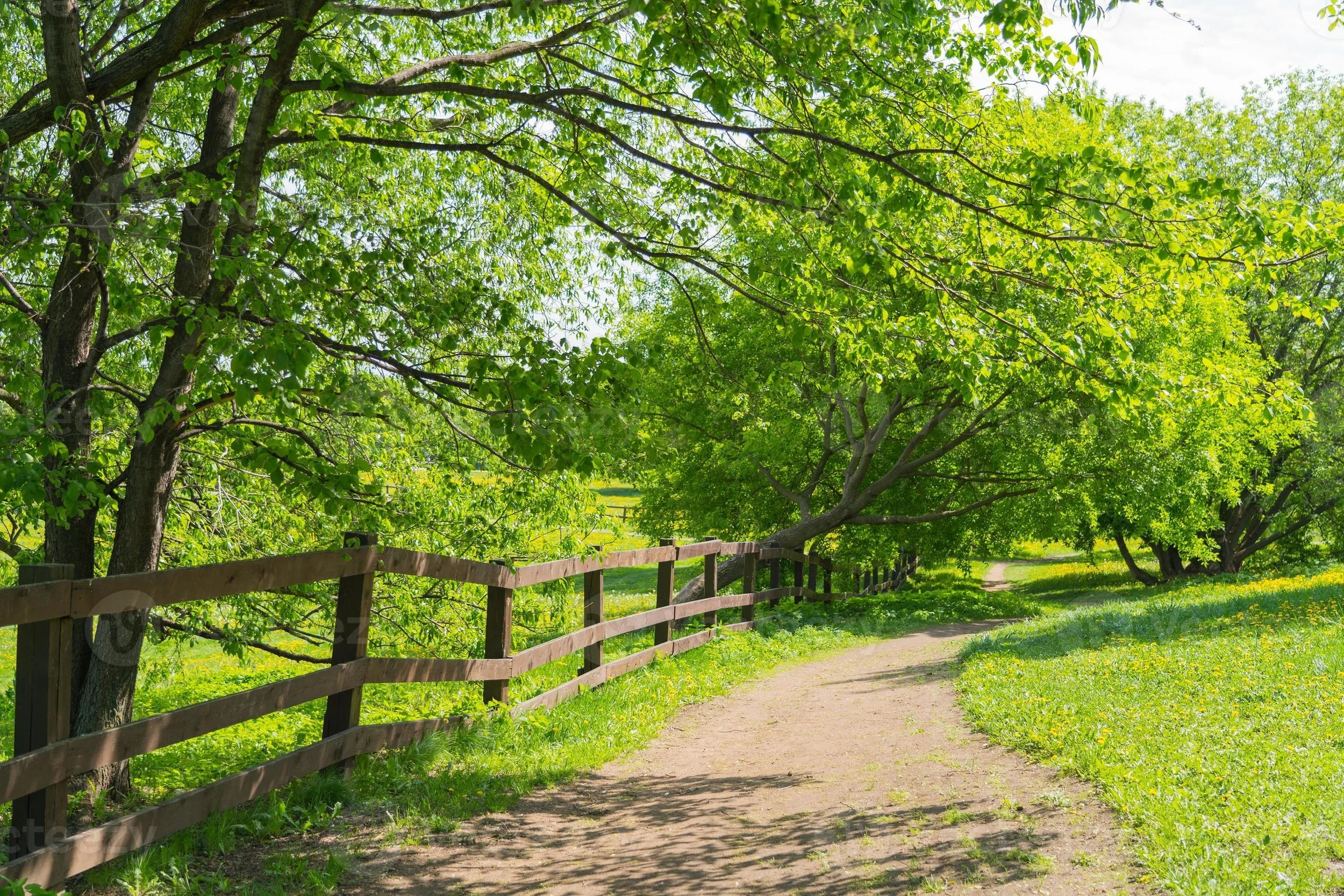 Uppdateringar på kontoret!