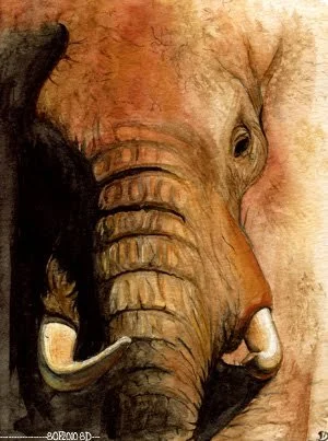 Éléphant - 15 x 20 
