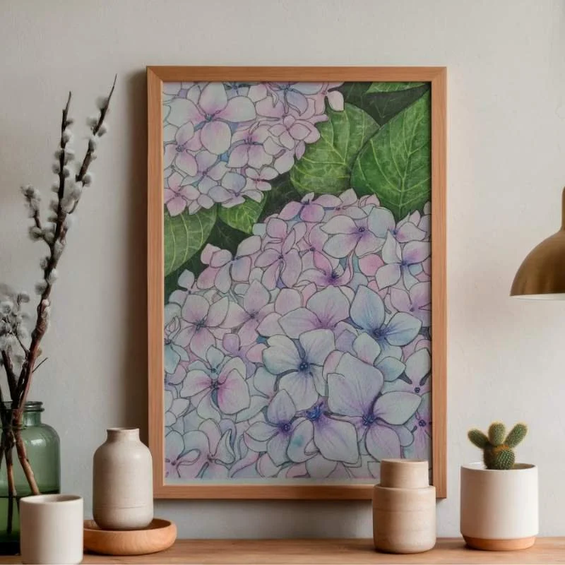 Hortensias