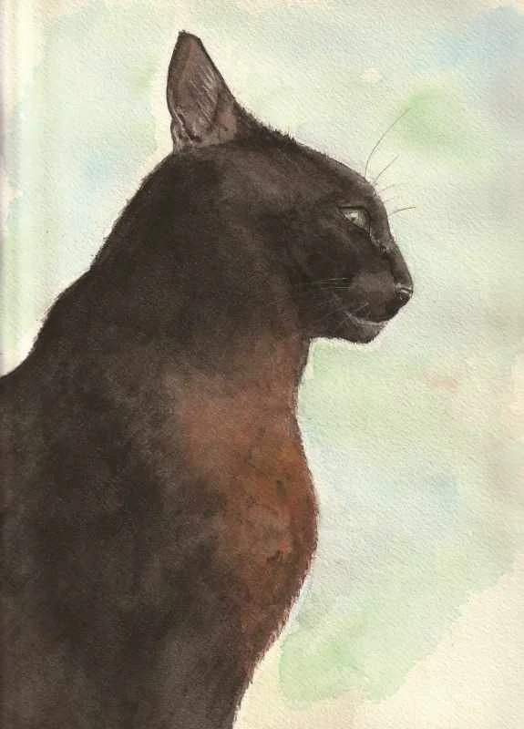 Oz - 23 x 31