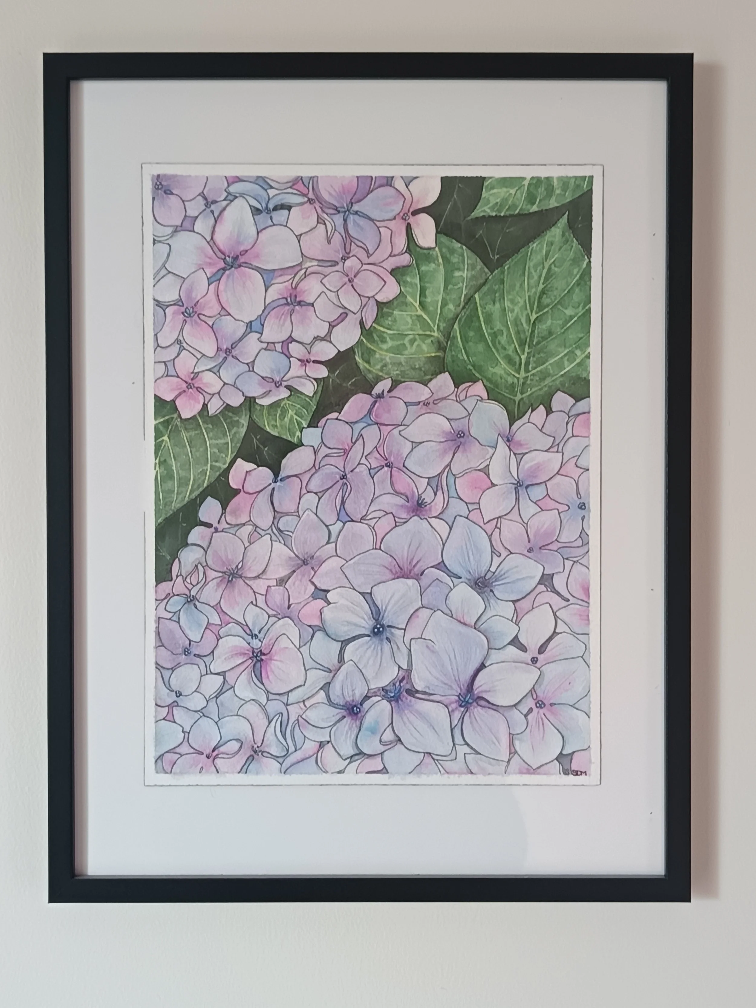 Aquarelle Hortensia par Lumy'Oz illustration en bretagne