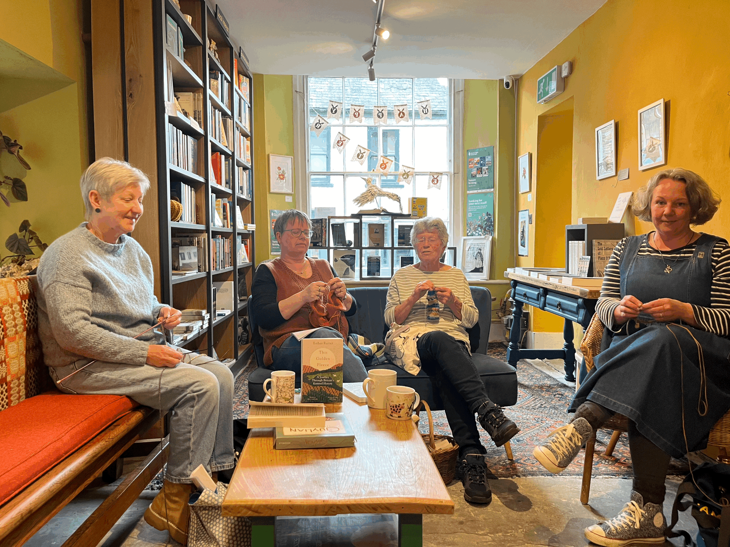 Stitches & Stories Book Club June 2025