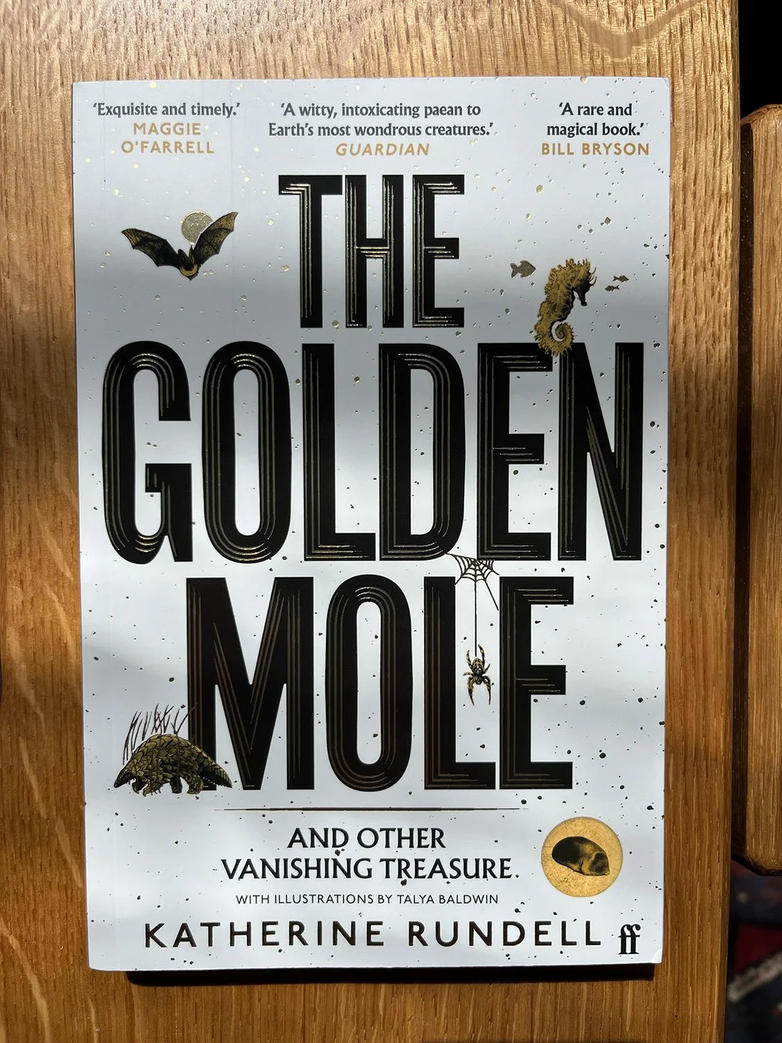 Rundell-Katherine_The-Golden-Mole.jpg