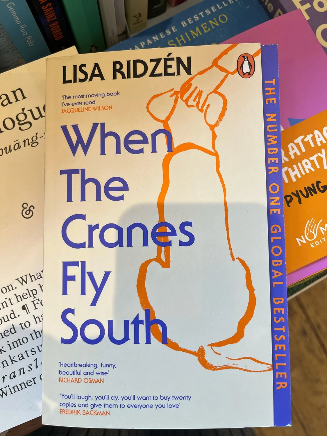 When the Cranes Fly South by Lisa Ridzén