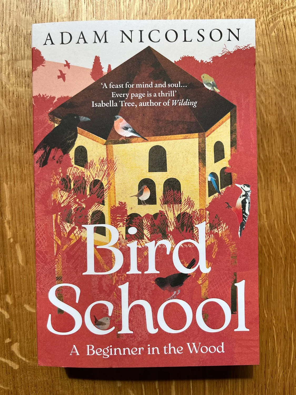 Bird School by Adam Nicolson