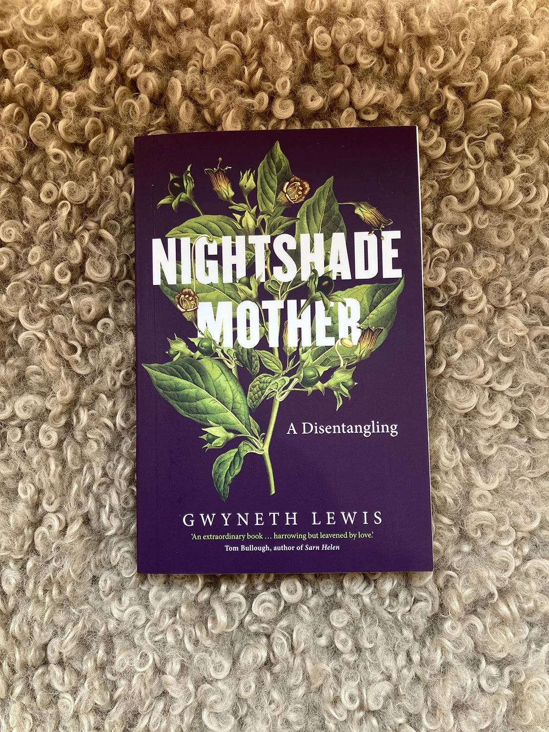 Lewis-Gwyneth_Nightshade-Mother-01.JPG