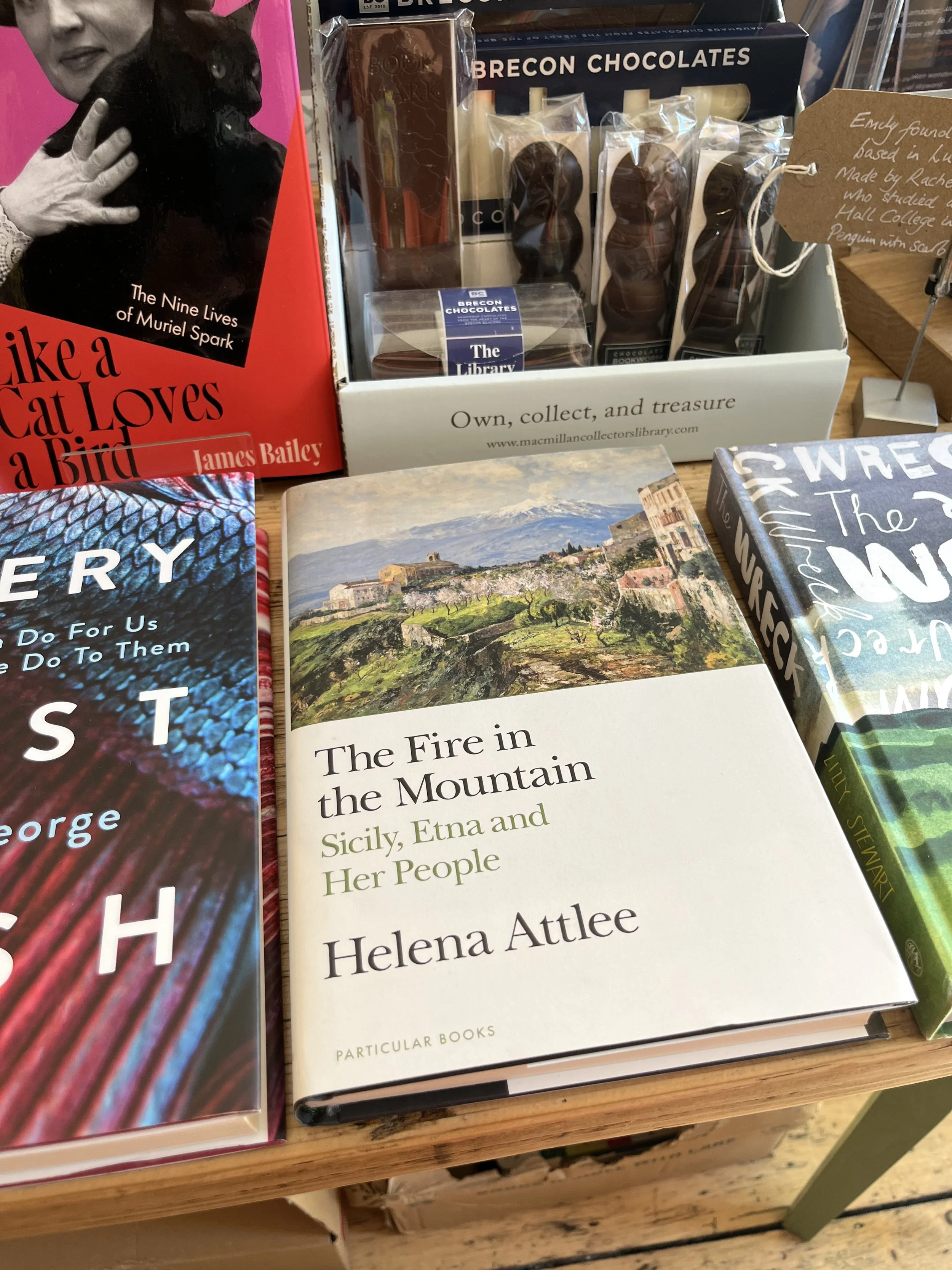 The Fire in the Mountain by author Helena Attlee