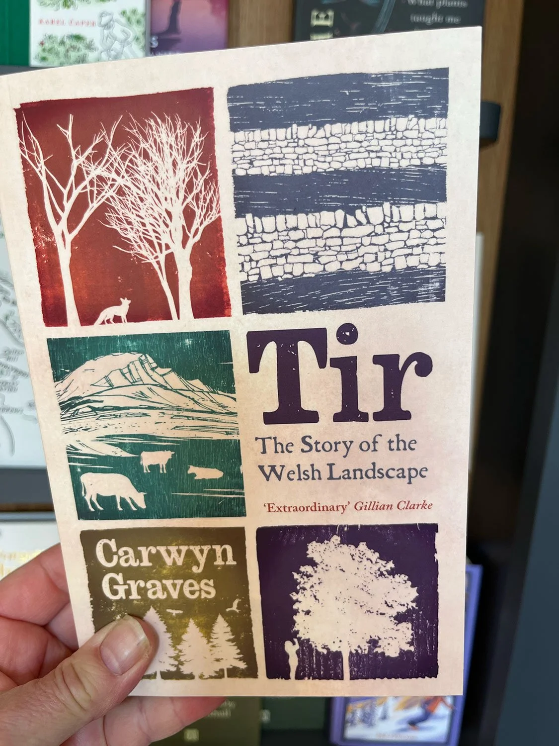 Tir: The Story of the Welsh Landscape by Carwyn Graves
