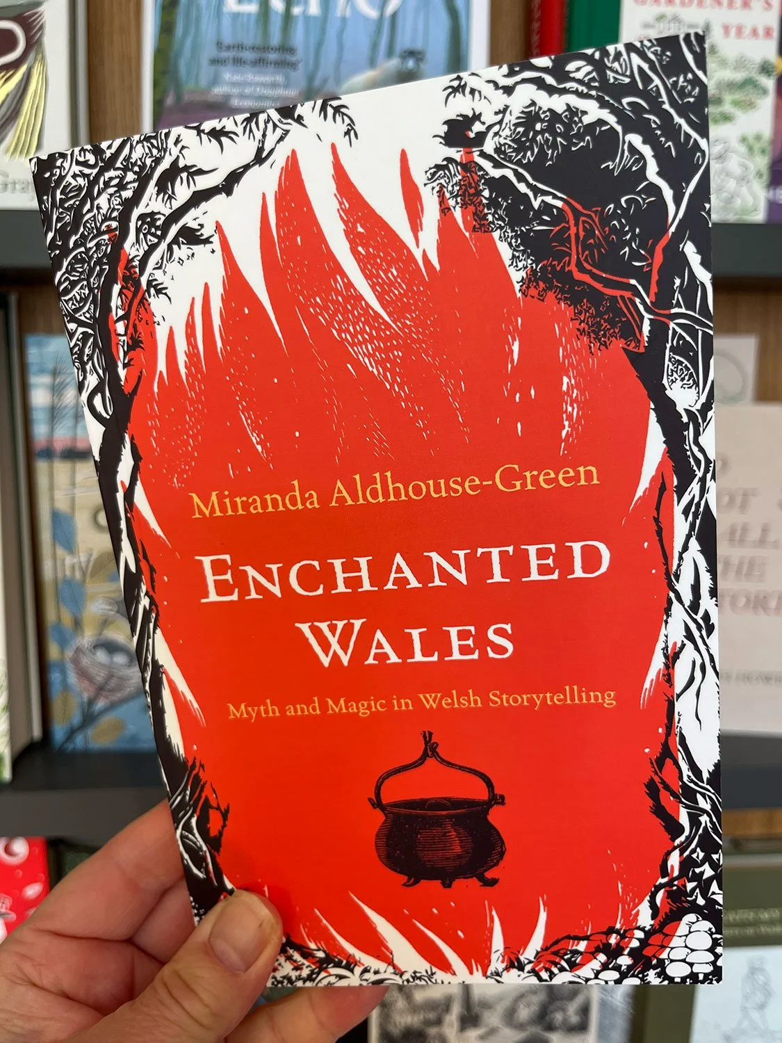 Enchanted Wales: Myth and Magic in Welsh Storytelling by Miranda Aldhouse-Green