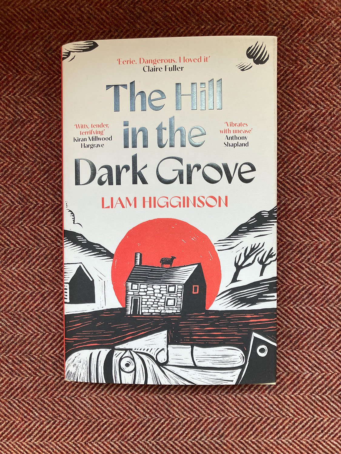 Higginson-Liam_The-Hill-in-the-Dark-Grove-01.JPG