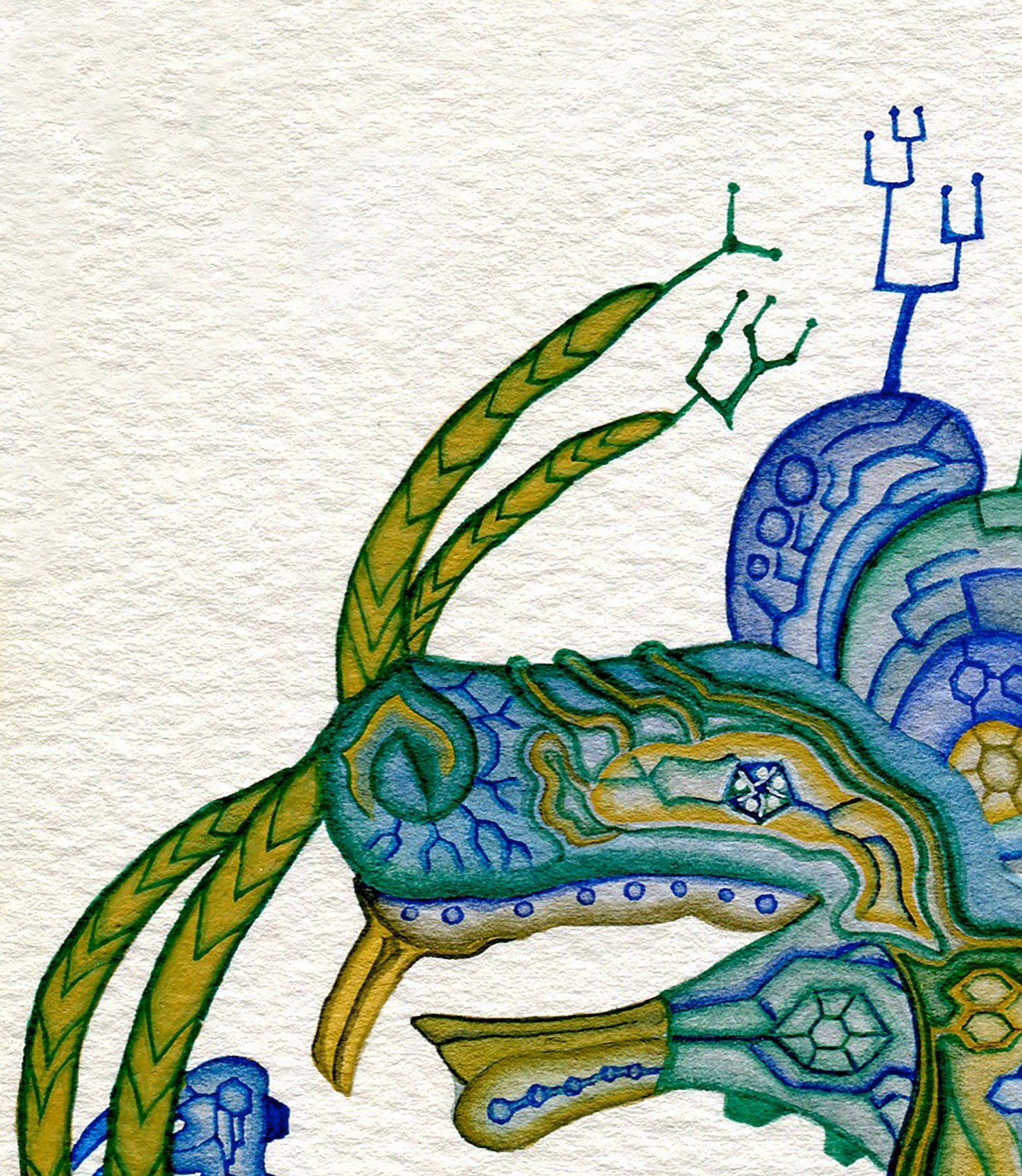 P5+Antennae+Rat+Final+A2+4cm+border+%281%29.jpg