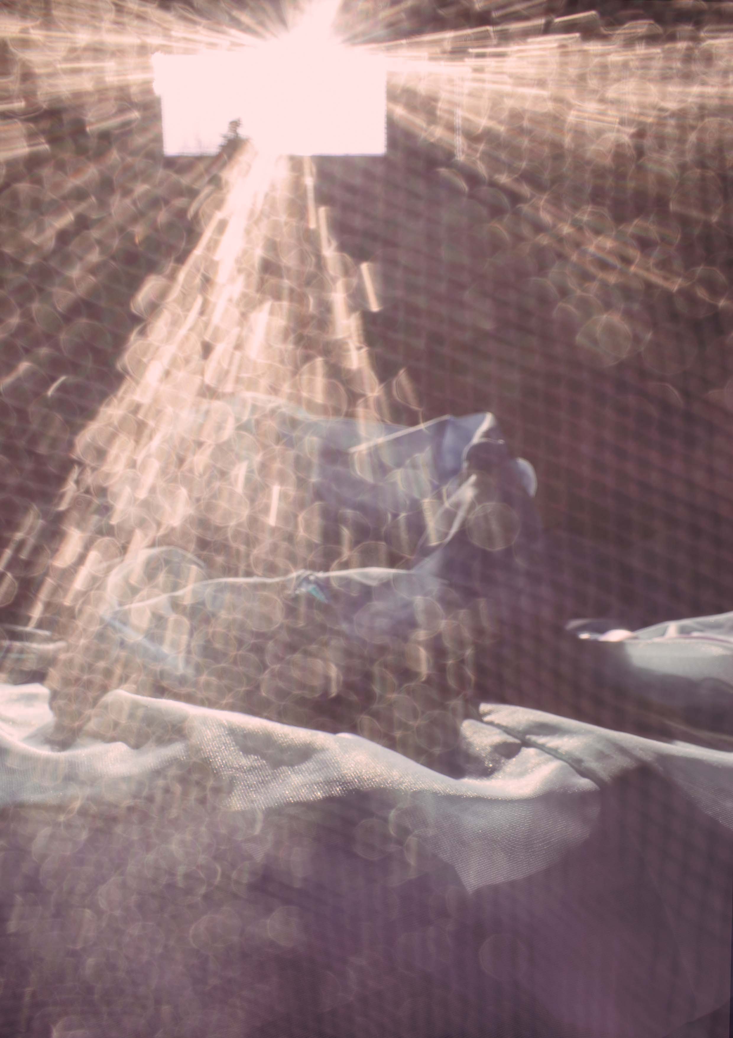 Conceptueel beeld Jane Dinmohamed