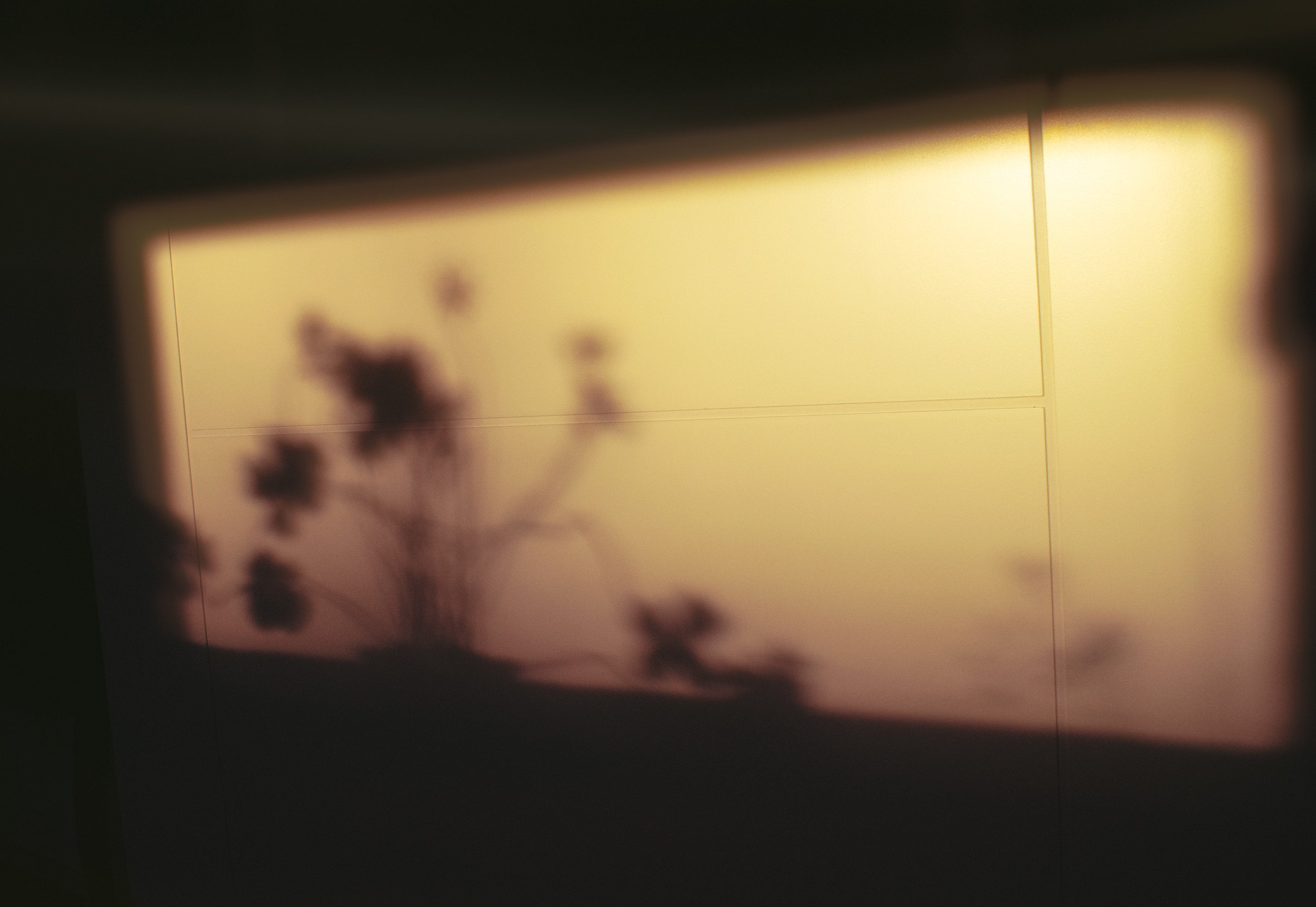 Conceptual photography on location