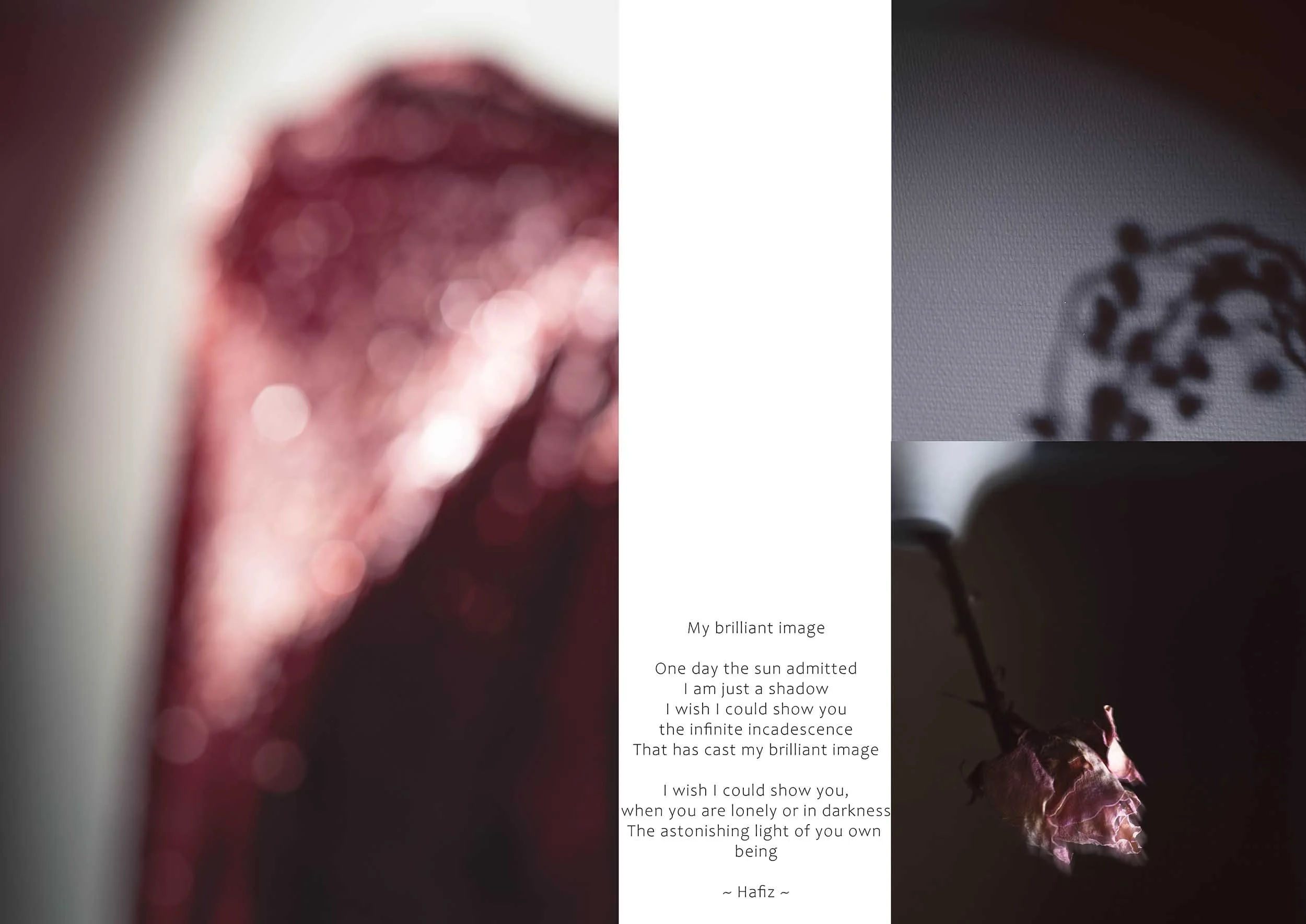 Conceptuele fotografie en zelfportret in fotostudio in Lelystad