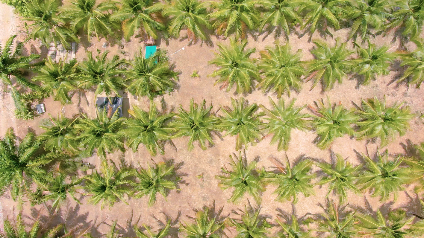 Your Bespoke Travel Designer