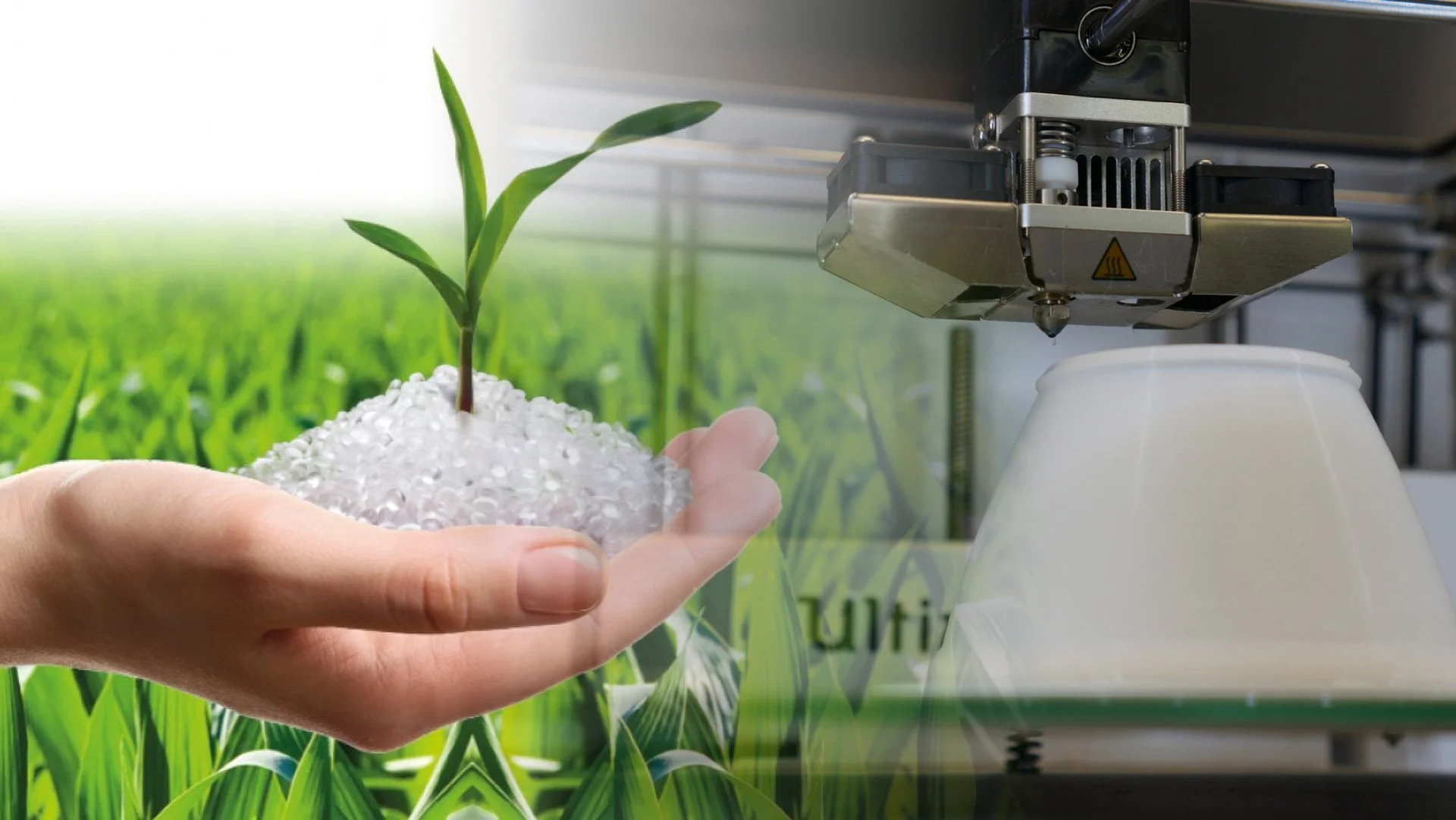 Plant Polymers, Explained: What Your Luminaires Are Really Made Of