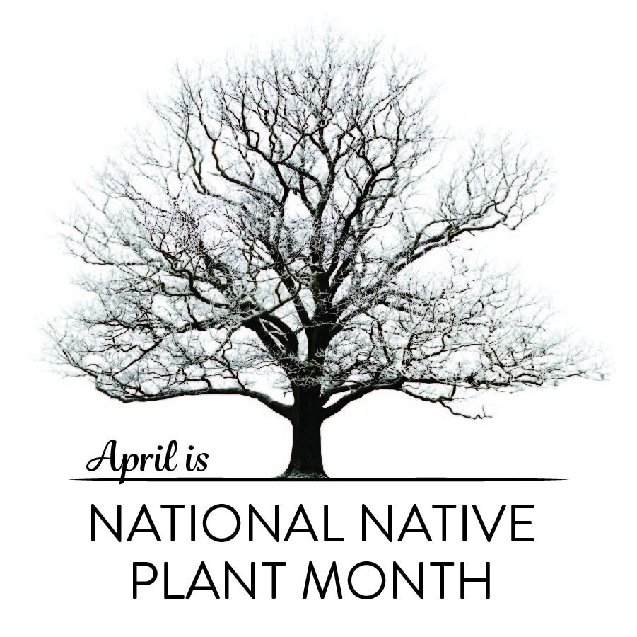 National Native Plant Month