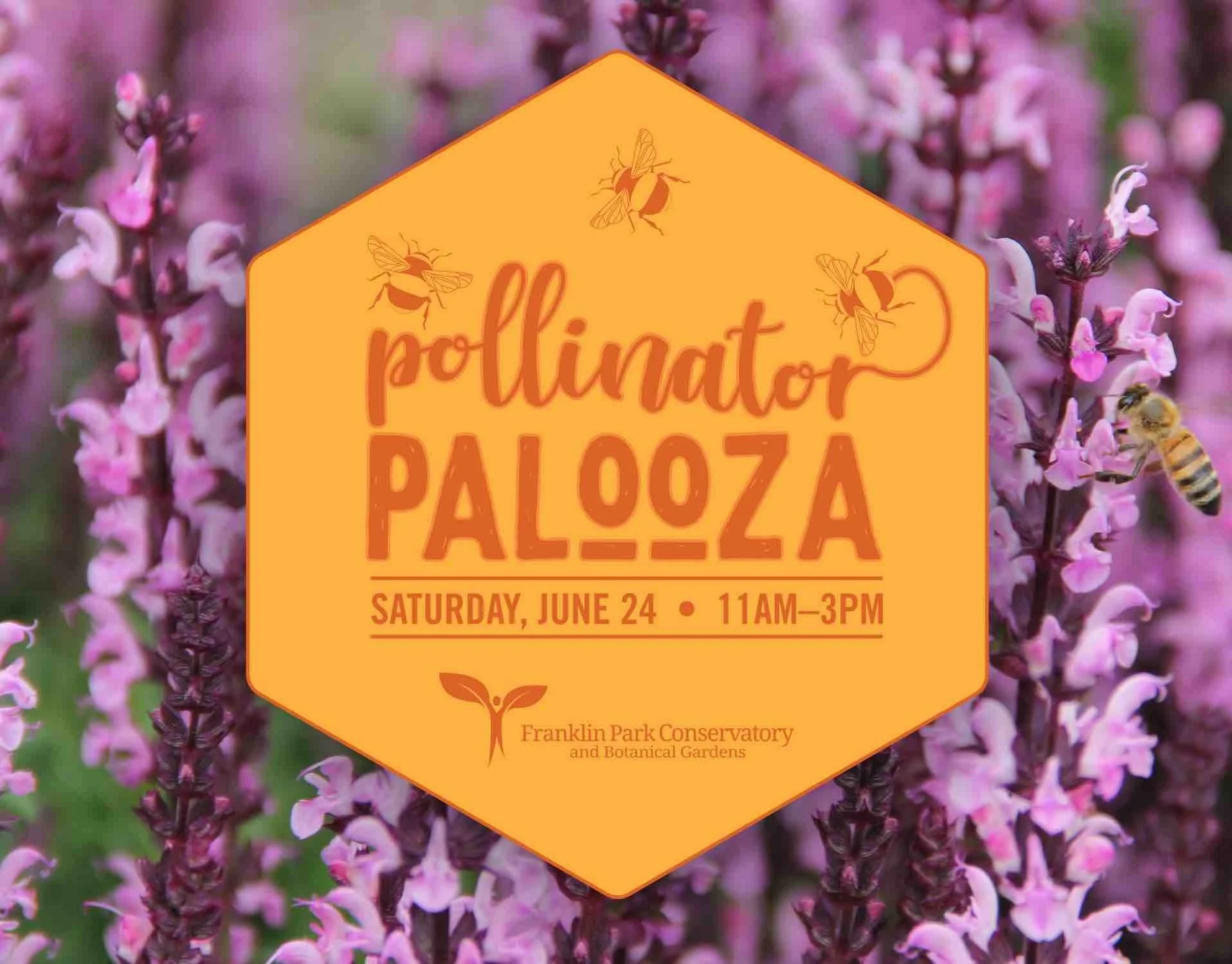 Pollinator Palooza June 24