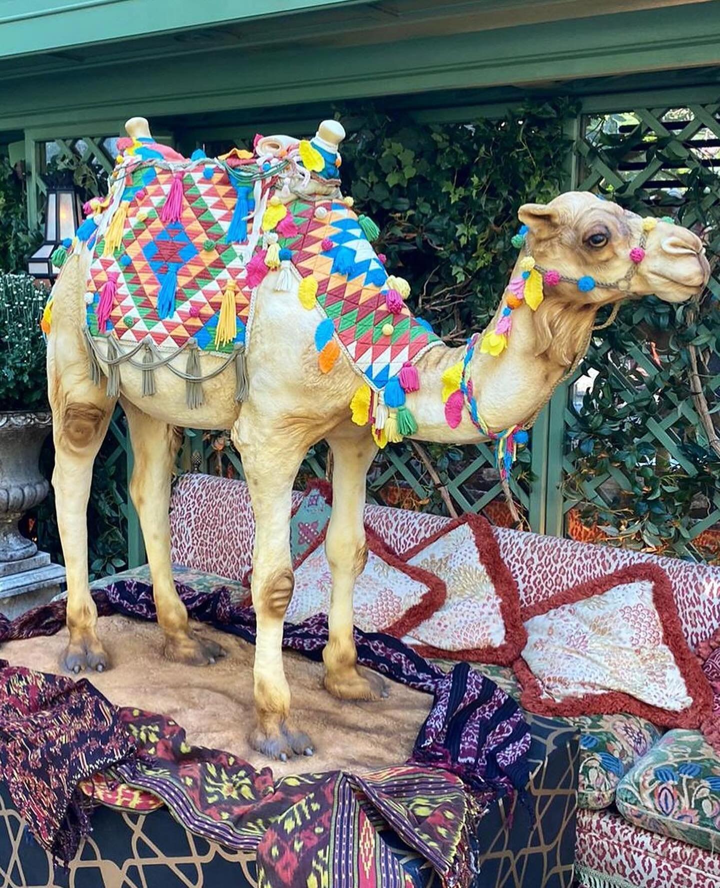 🐪 STOP 🐪 
Is it cake? Yes it is! 

We made this camel cake for an event at @annabelsmayfair a few years ago 🐪💕
.
#cake #cakeart #cakesculpture #camel #camelcake #sculpturecake #extremecakes #luxury #luxuryevents #events #luxurylifestyle #luxuryca