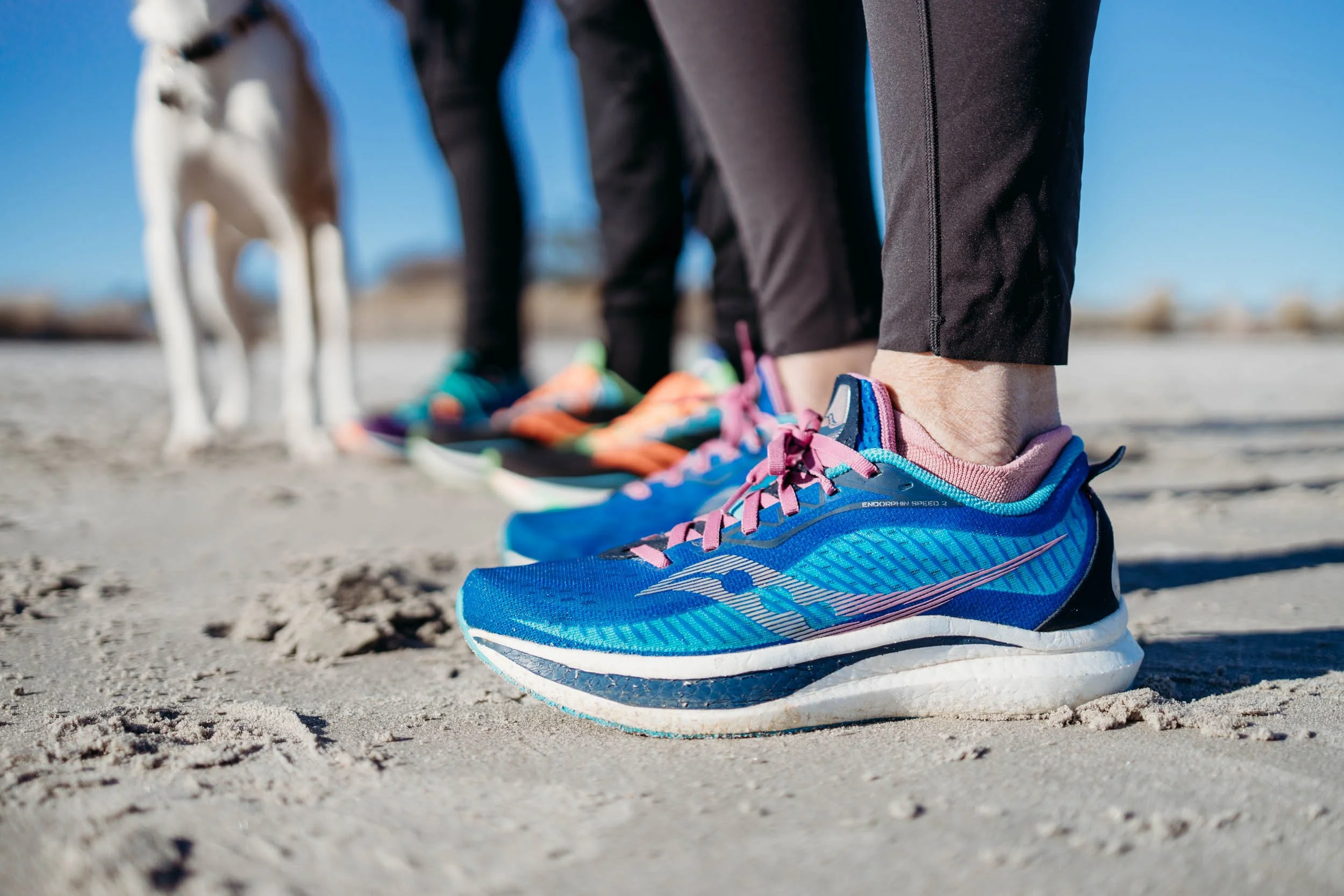 Rhode Island Running Blog — Wakefield Running Company