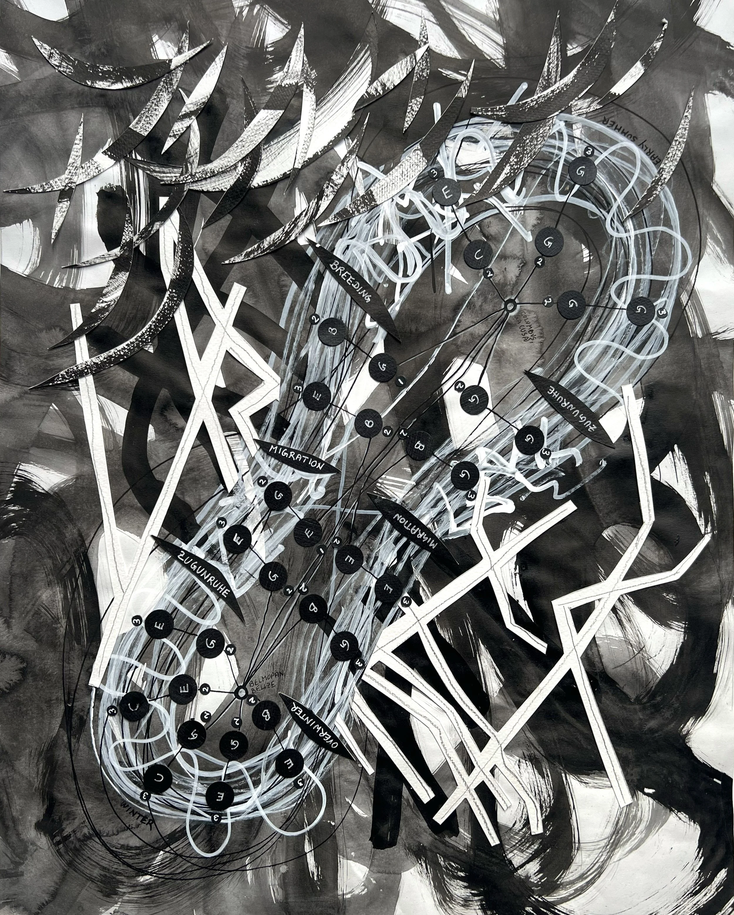 Bird Sirens 2 / 2025 / 16"x20" / Musical score about the migratory route of the Swainson's Warbler