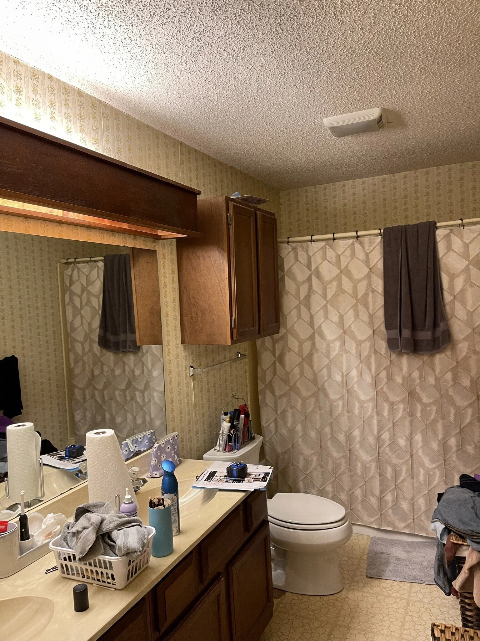 IMG_7567.JPEG