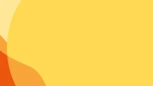 2026 Roadmap — Global Mental Health Action Network