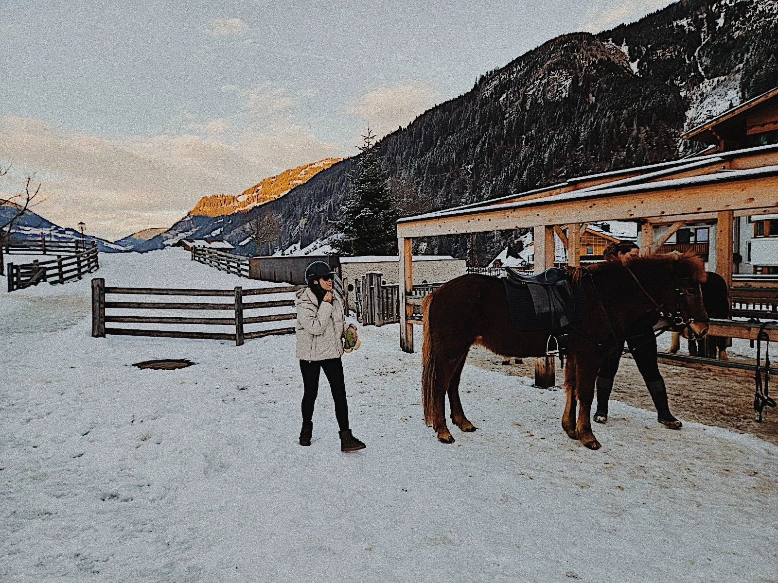 Moar Gut horse riding stables winter