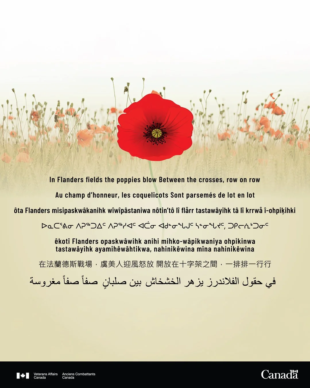 Today, we take time to remember. 🇨🇦 

#RemembranceDay #AMomentOfSilence