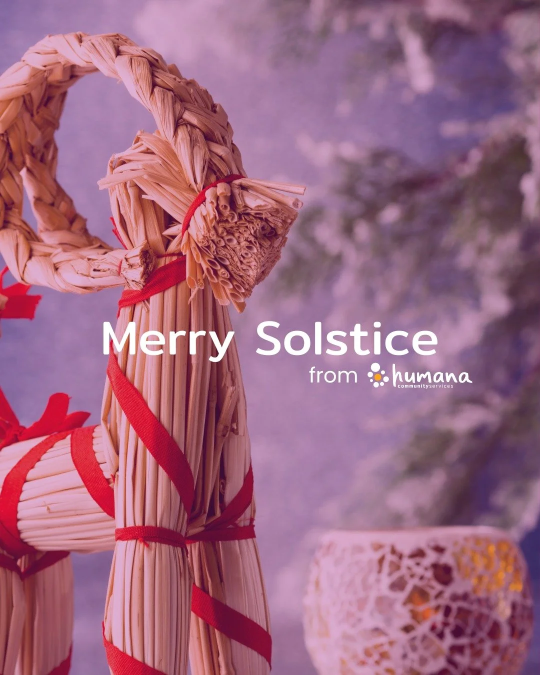 Blessed Yule and Merry Solstice to those that celebrate! 🪵🌲🦌