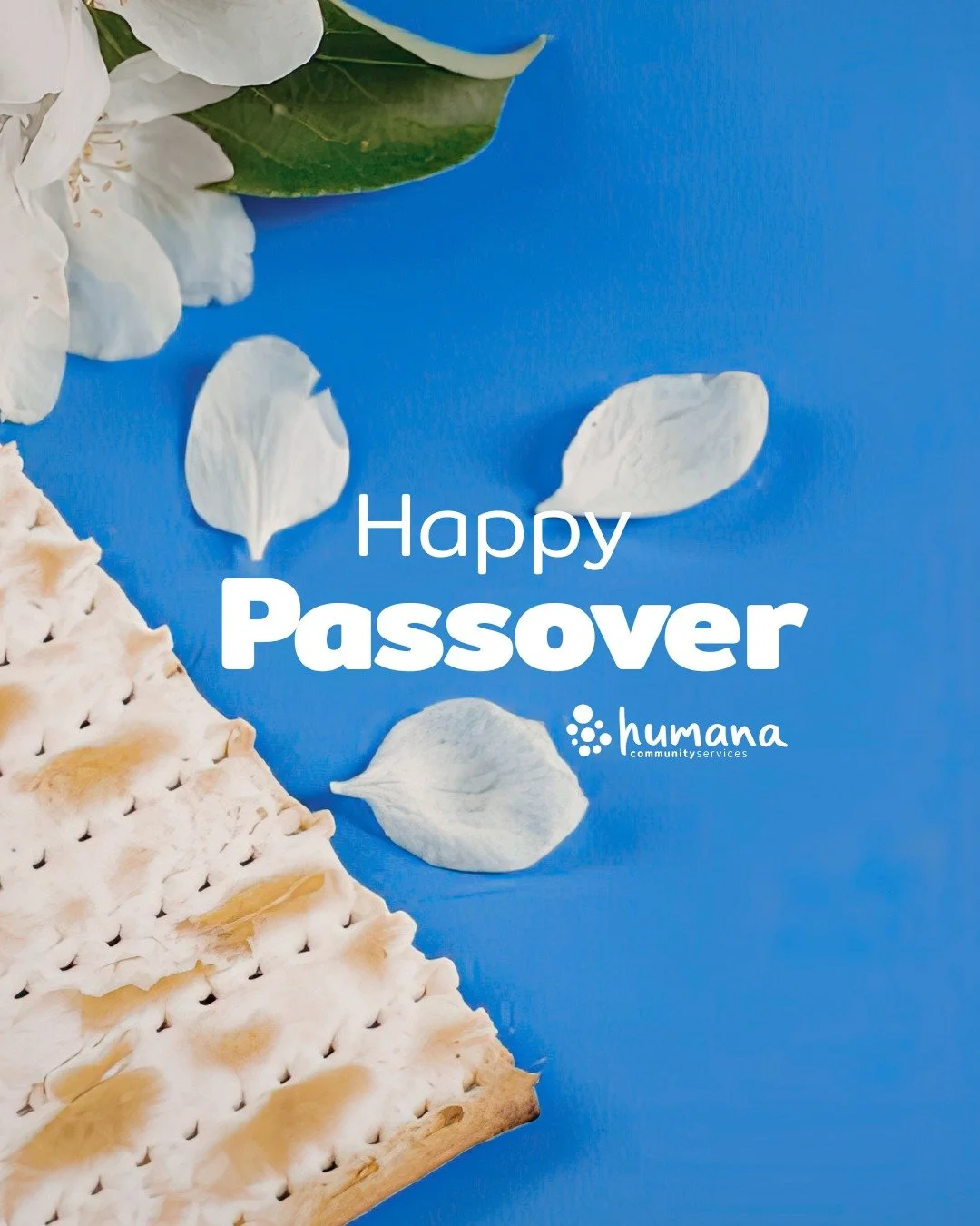 Chag Pesach Sameach! 🫓🍷✡️ Happy Passover from all of us at Humana.
What are some traditions that you are participating in this year?

#PassoverTraditions #HappyPassover