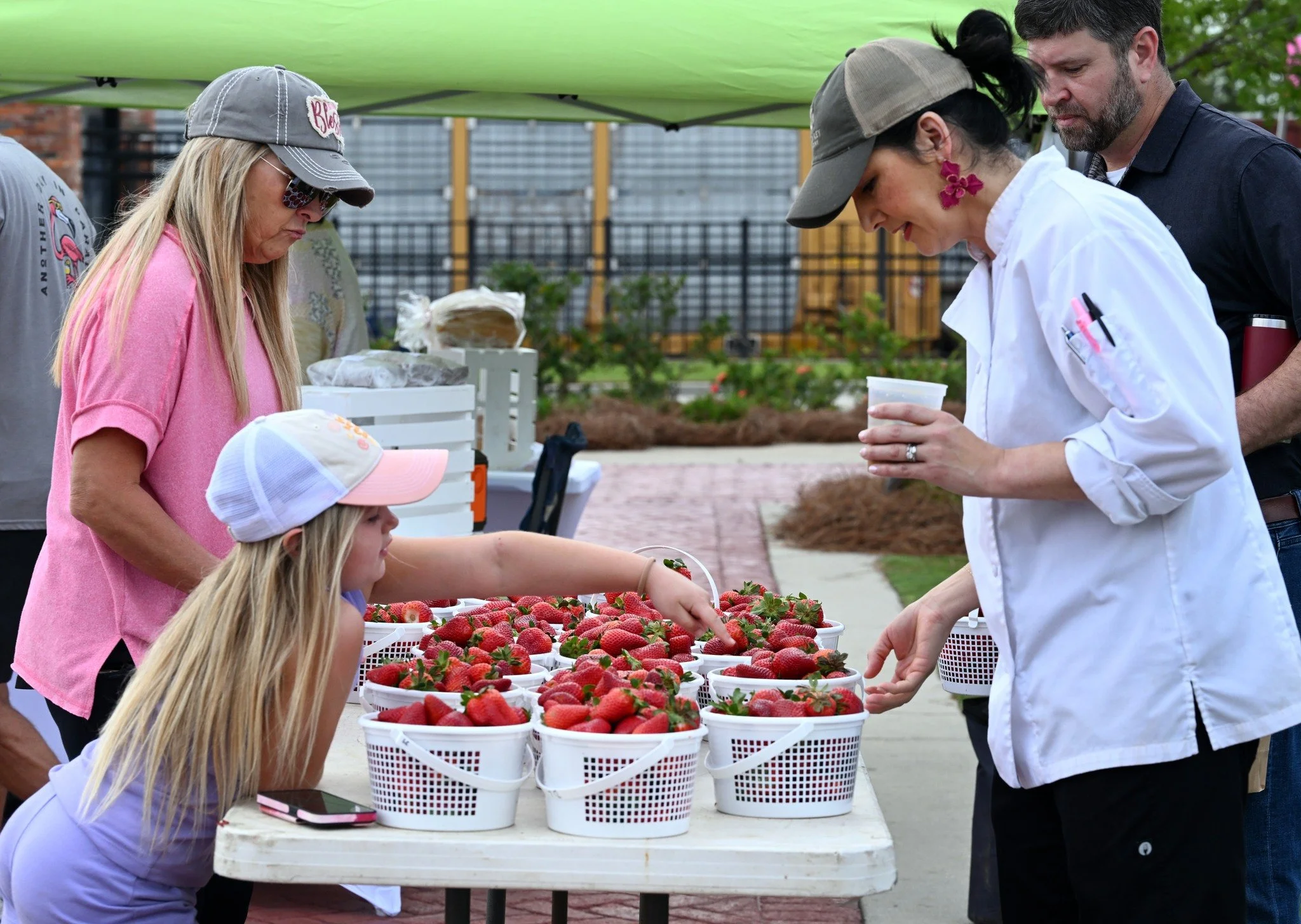 Strawberries at Earth's Bounty
